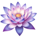 Floral Lotus Car Coasters – Set of 2 – 28 Designs