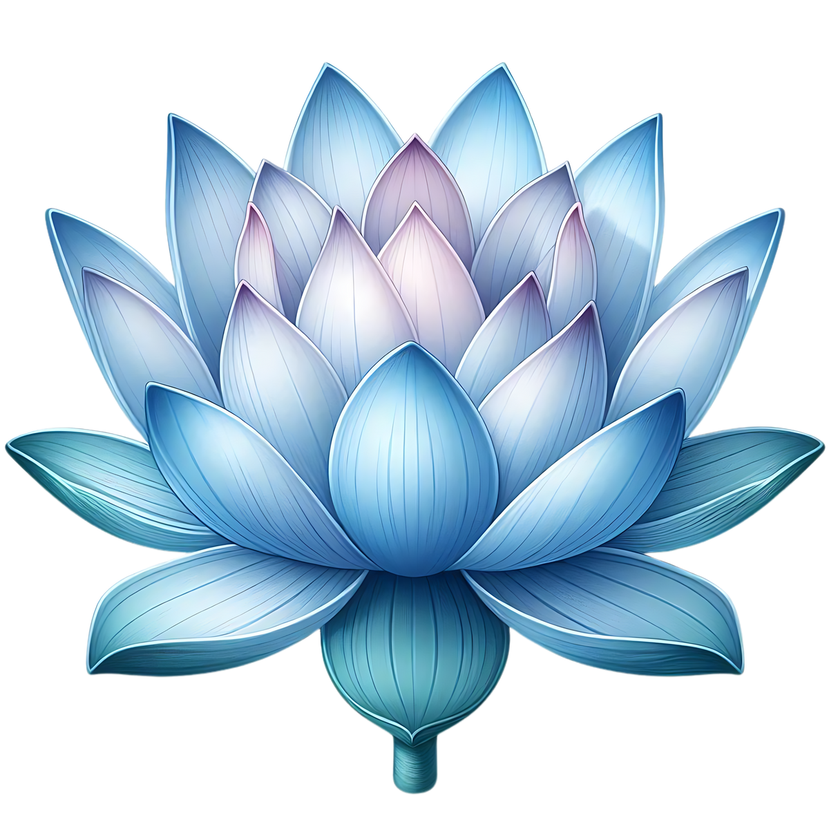 Floral Lotus Car Coasters – Set of 2 – 28 Designs